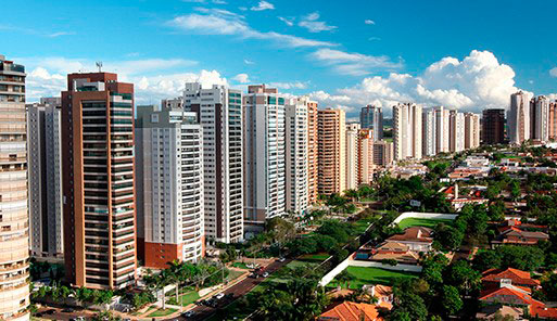 Controle de pragas ribeirão preto